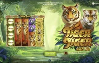 Tiger Tiger Wild Life Slot