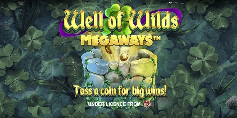 Well of Wilds MegaWays Online Slot