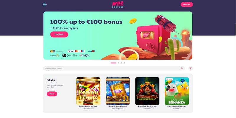 Our Wild Fortune Casino Review