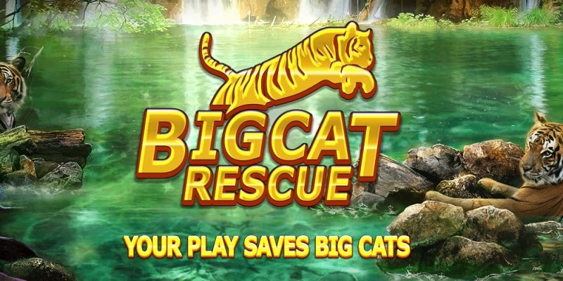 Big Cat Rescue Megaways Video Slot