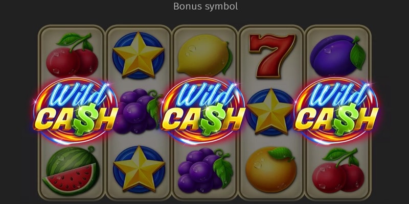 Wild Ca$h x9990 Bonus Symbols