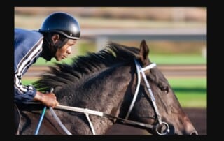 Grand National Charity Syndicates