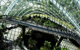 Entain Strong Progress in Sustainability