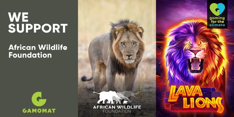 August’s charity support news for gambling! August’s charity support news for gambling!