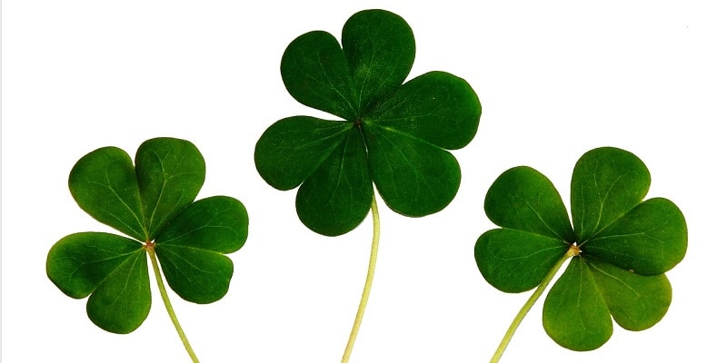 Ireland Gambling News (10 Sep)