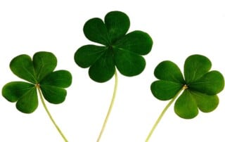 Irish Youth at Risk of Underage Gambling