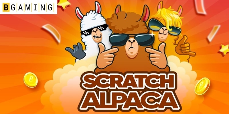 Scratch Alpaca series launch