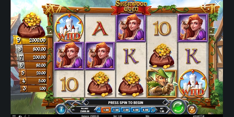 Sherwood Gold (Play'n Go) Sherwood Gold (Play'n Go)
