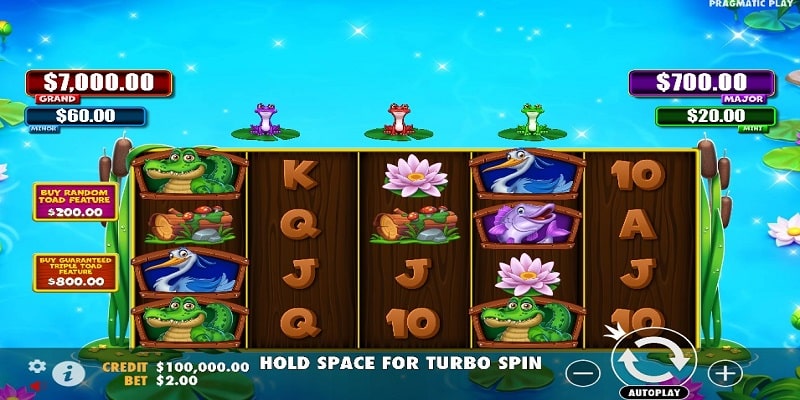 Tiny Toads (Pragmatic Play)