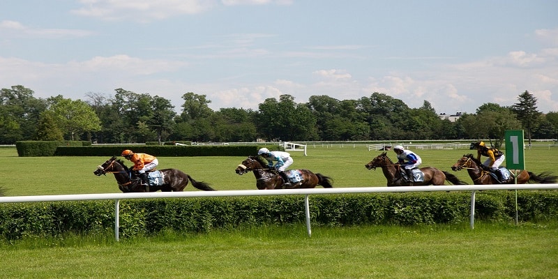 Labour&rsquo;s Horse Racing Misfire Codemned by Racing authorities