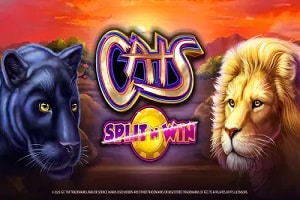 Cats Split &rsquo;N&rsquo; Win online slot splash image showing two large cats facing each other with the game logo