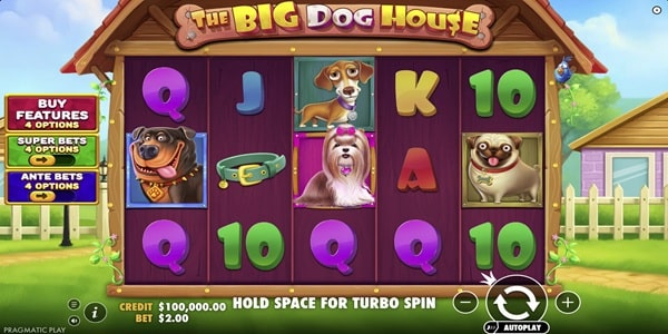 The Big Dog House Slot Game | Pragmatic Play – Weekly Review The Big Dog House slot reels with Rottweiler, Yorkie, Dachshund, and Pug symbols plus royal cards on a wooden kennel frame.