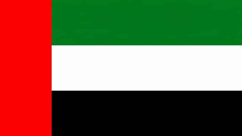 The United Arab Emirates (UAE) flag